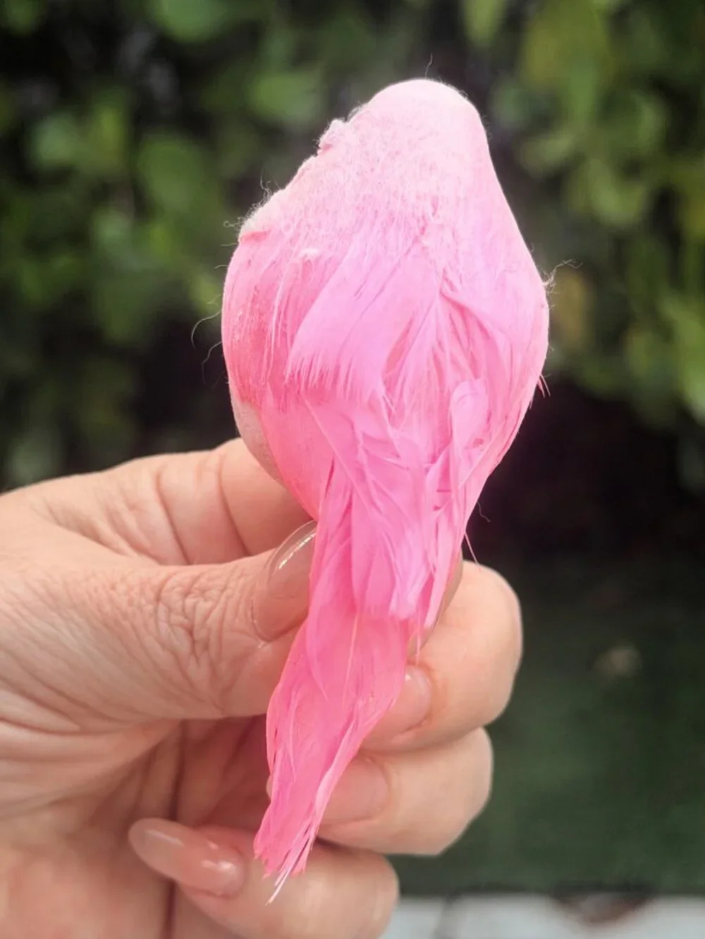 Vintage Clip On Pink Feather Bird Christmas Ornament Spring Tree MCM